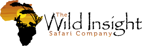 Best African Safaris | The Wild Insight Safari Company